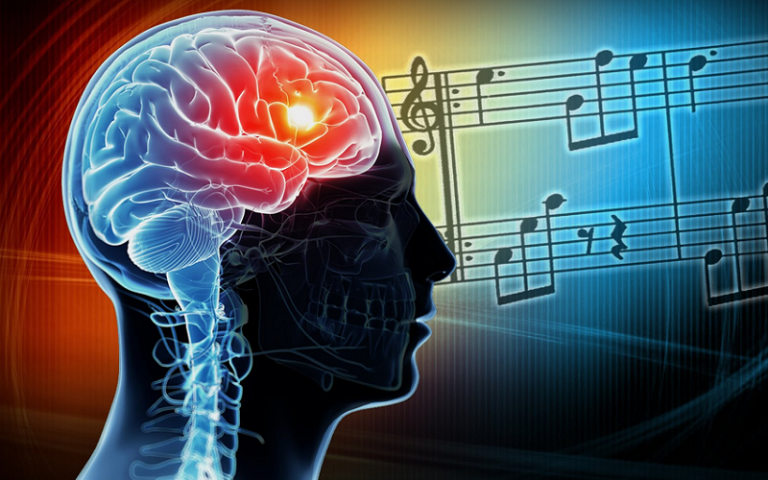 musical instruments increase neuroplasticity