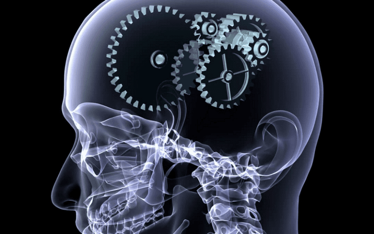 n-acetyl l-tyrosine cognition