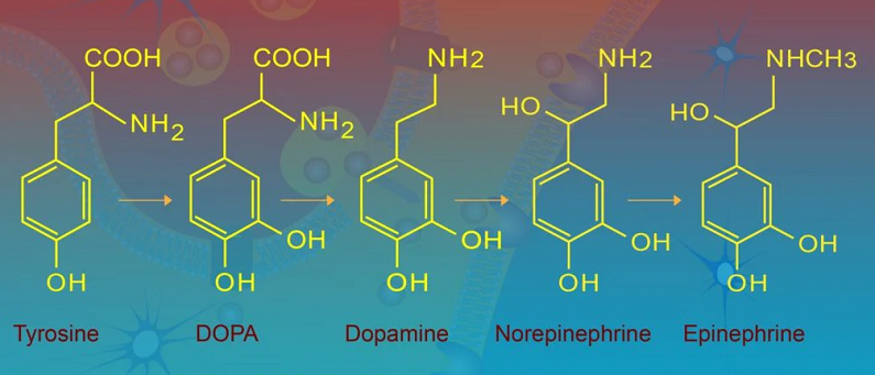 nalt dopamine adht treatment