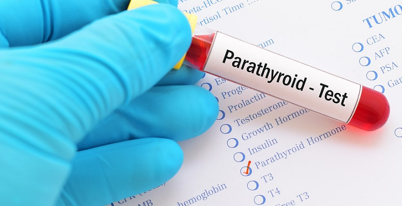 parathyroid cognitive functions