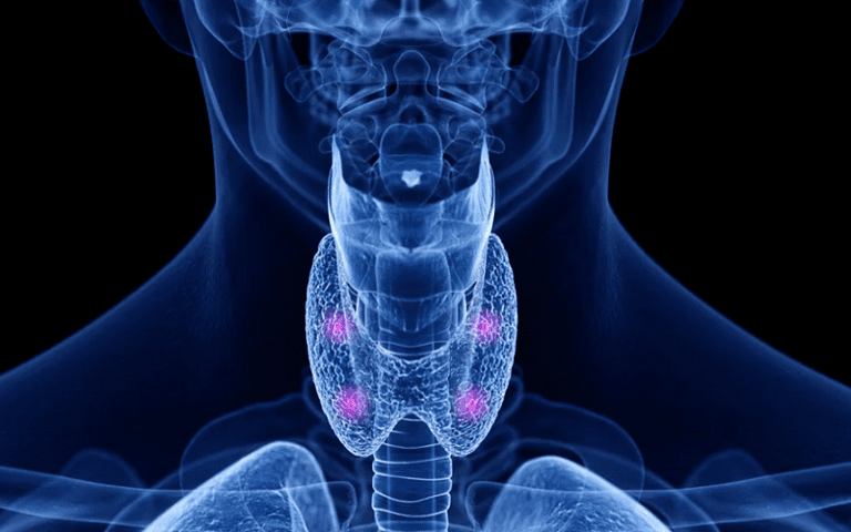 parathyroid pth calcium cognitive