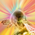 phosphatidylserine mood regulation balance mind