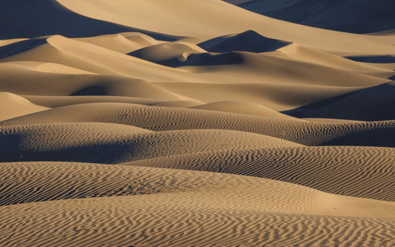 sand patterns neural cognition benefits