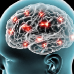 dentate gyrus influence memory