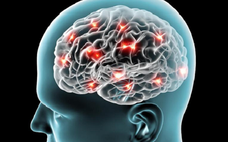 dentate gyrus influence memory