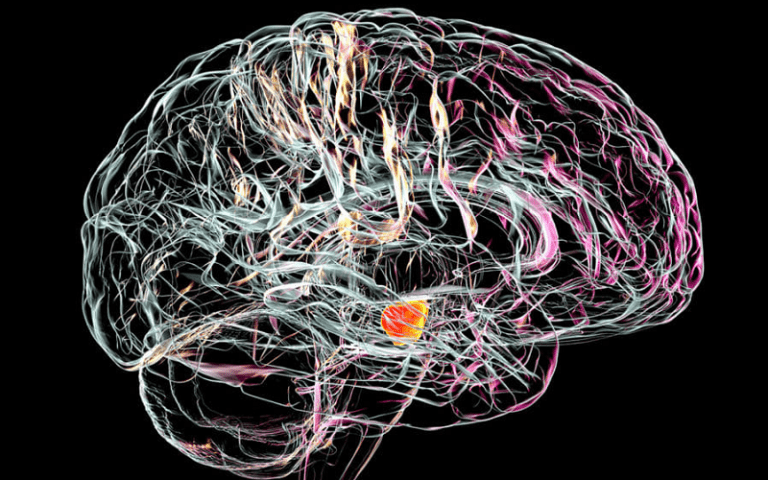 substantia nigra role in movement