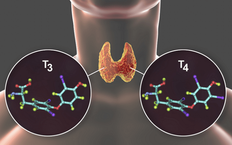 thyrotropin-releasing hormone trh cognition