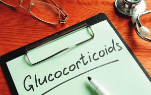 glucocorticoids role stress brain function