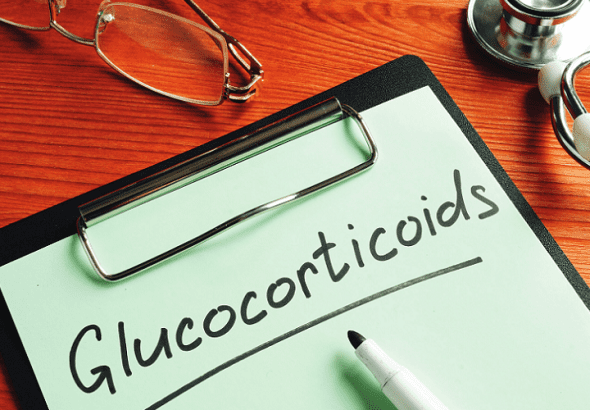 glucocorticoids role stress brain function