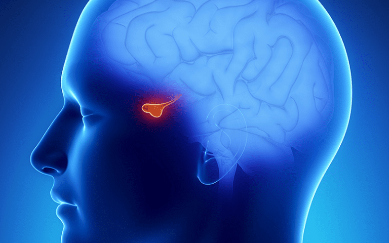 somatomedins role brain health