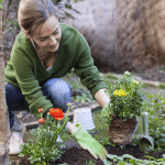 soil health cognitive function connection