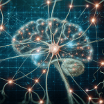 dha supports visual processing cognition