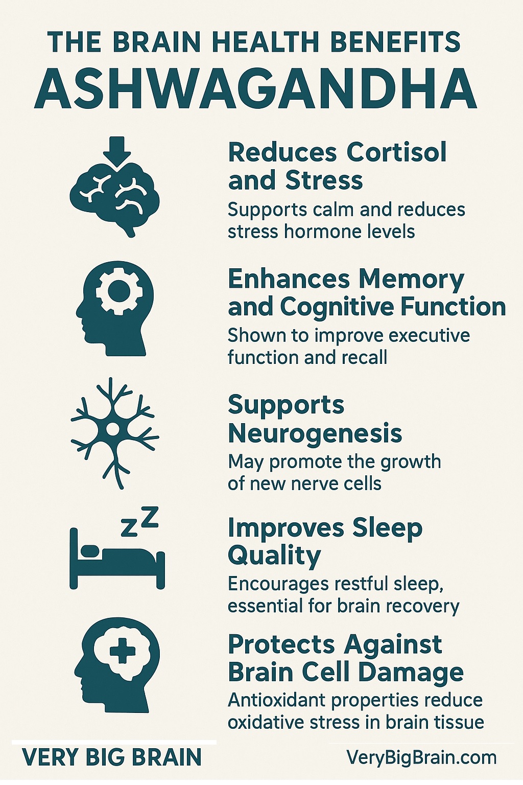 brain benefits of ashwaghanda infographic