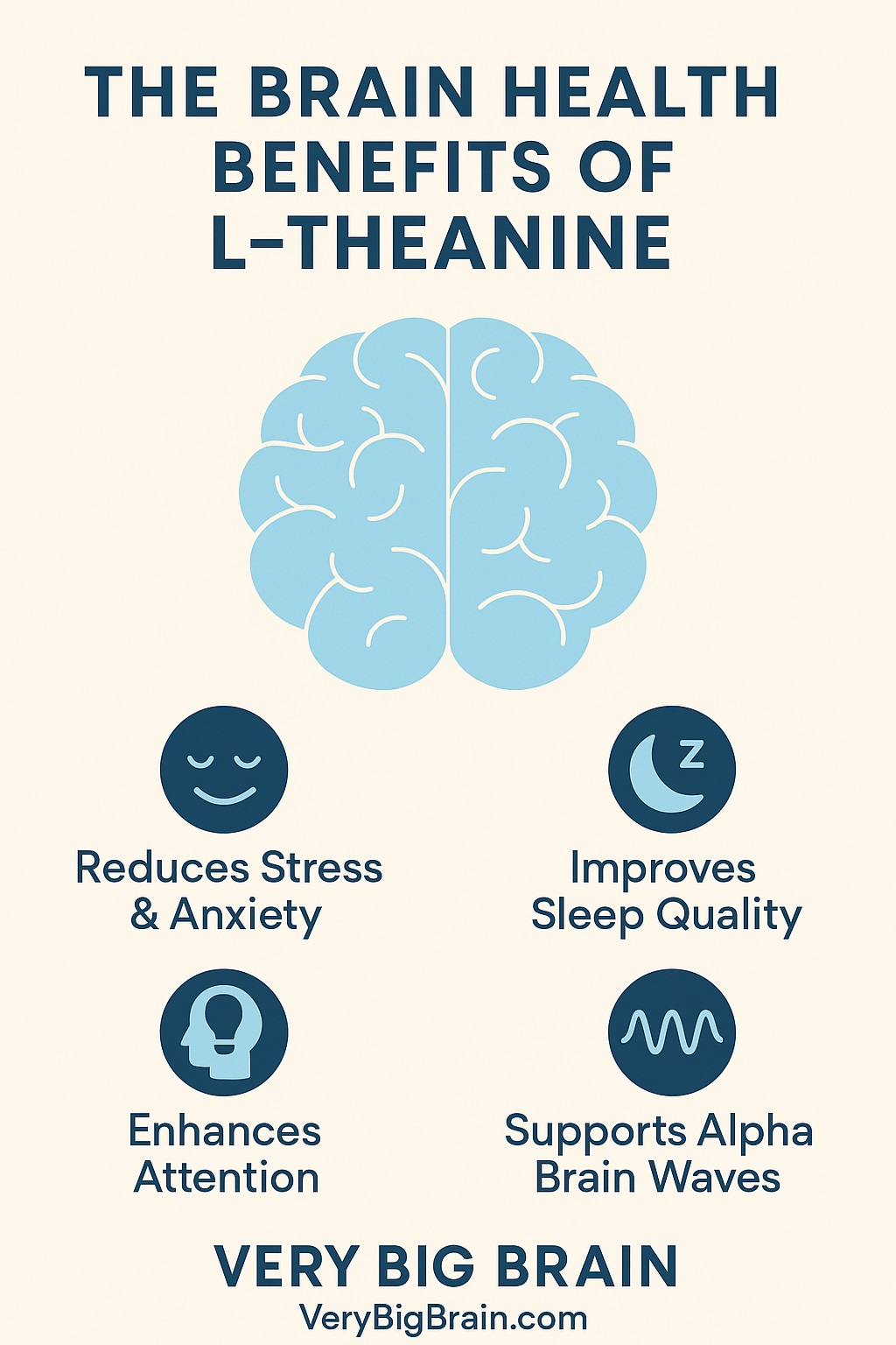 brain benefits of l-theanine infographic