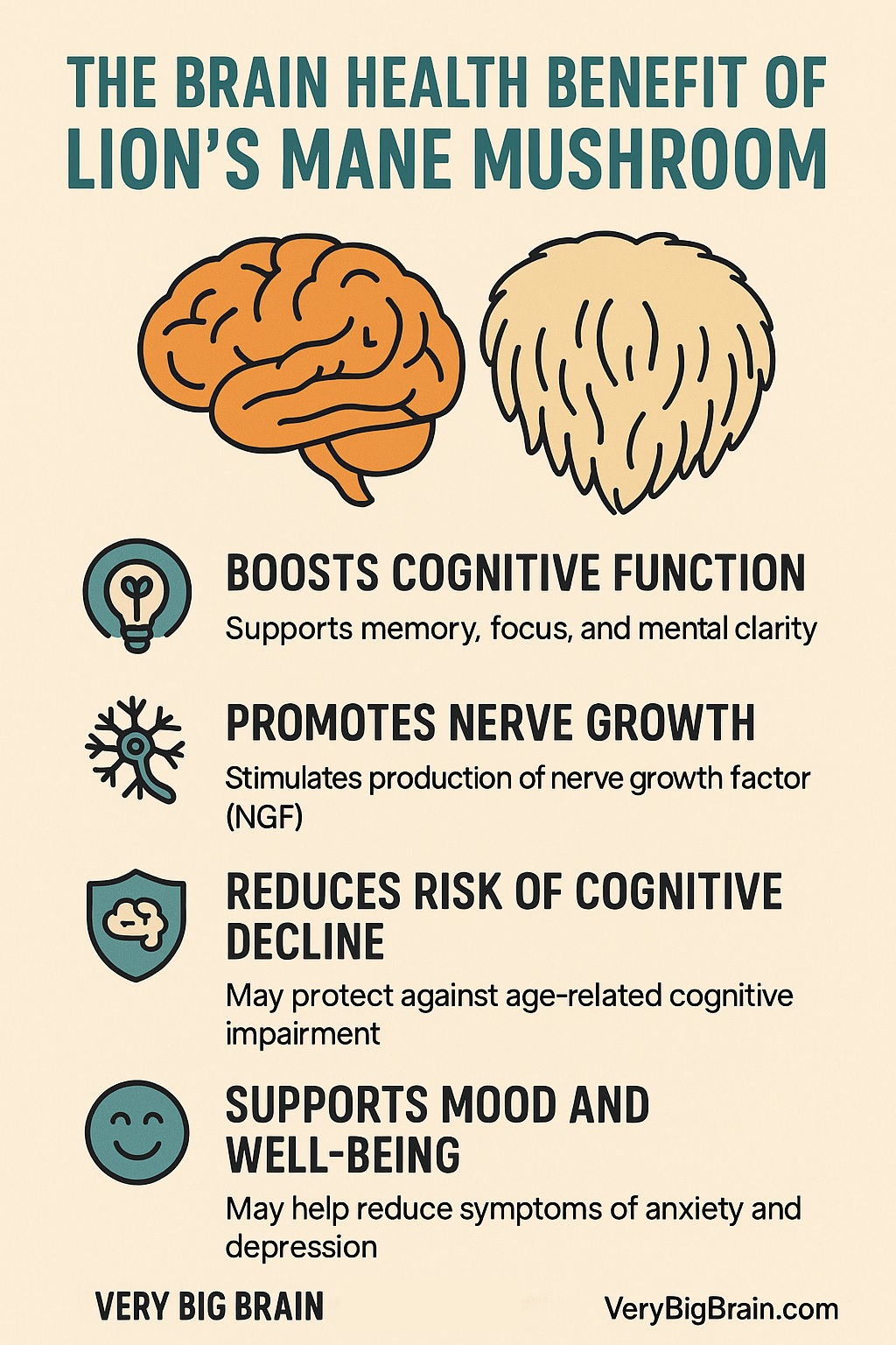brain benefits of lions mane mushroom infographic