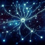 neuroscience of focused attention