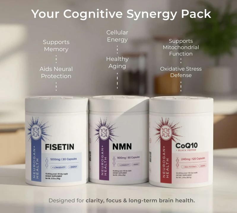 cognition stack supplement