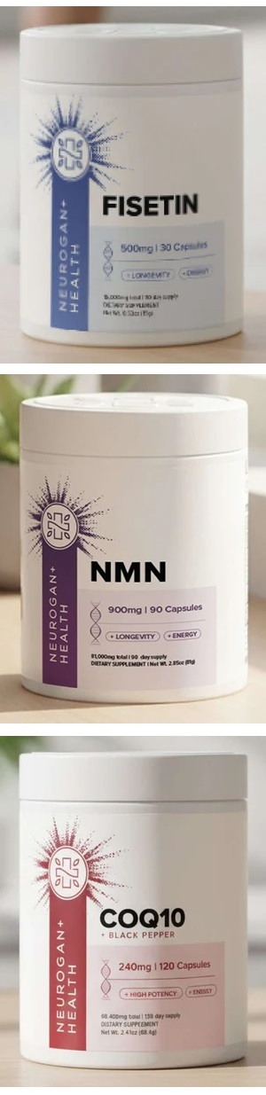 cognition stack supplement