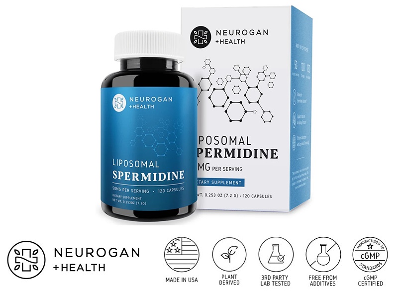 spermidine supplement