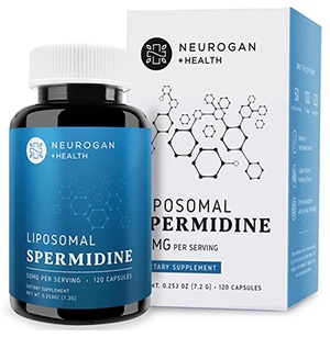 spermidine supplement