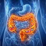 prebiotics and immune performance