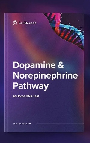 selfdecode dopamine and norepinephrine pathway report