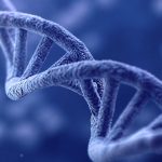 calorie counting metabolic genetics
