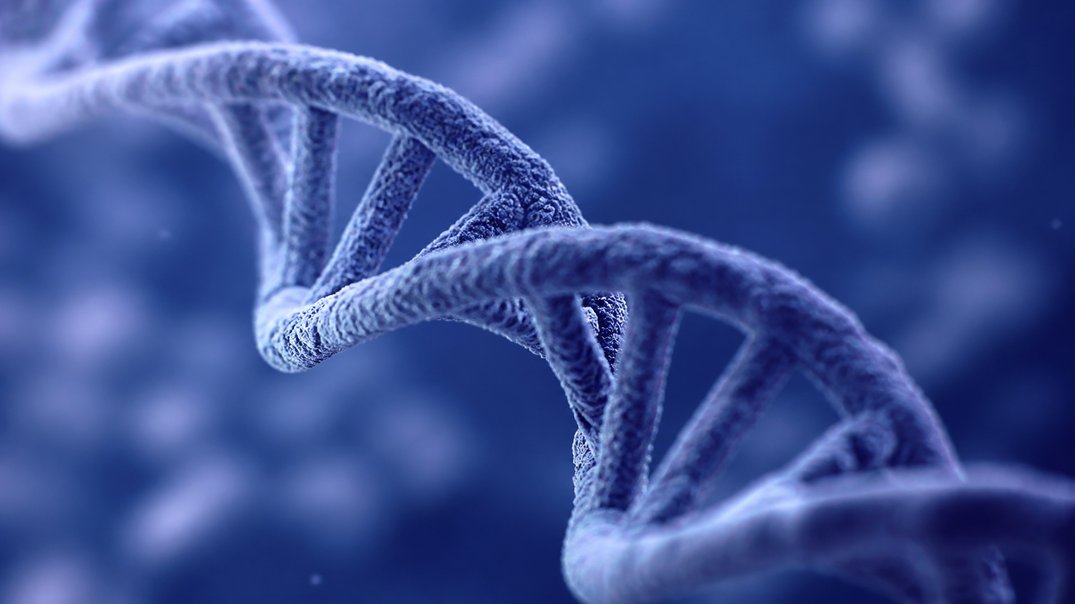 calorie counting metabolic genetics