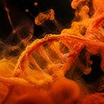 is brain fog genetic