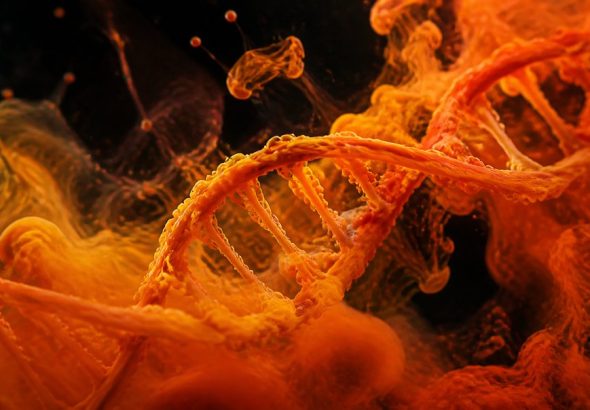 is brain fog genetic