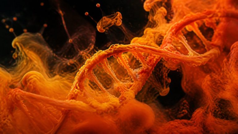 is brain fog genetic