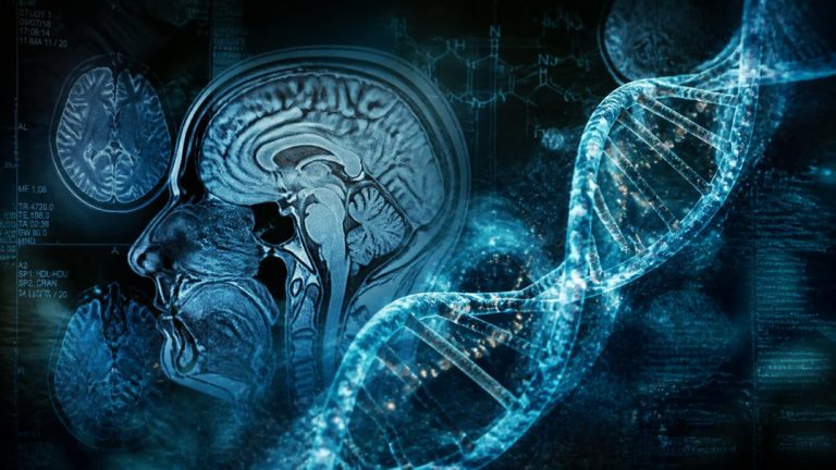 sleep genetics cognitive performance