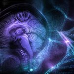 genetics of addiction