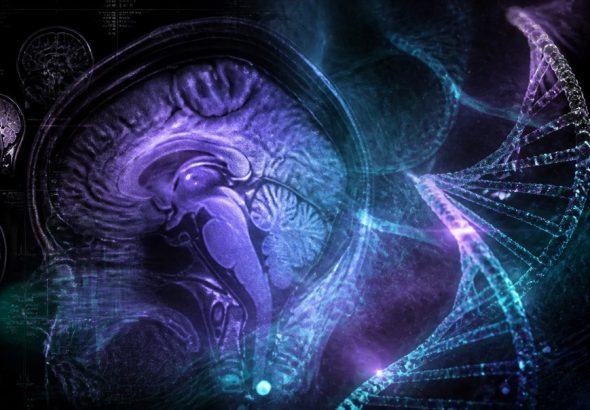 genetics of addiction