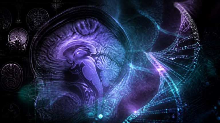 genetics of addiction