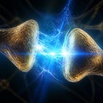 gut health brain function link