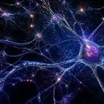 processing speed slows down with age