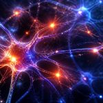 use it or lose it true for the brain