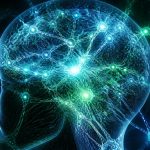 learning new language rewired brain