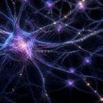 habits can be rewired fast