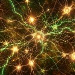 can brain rewire itself after injury