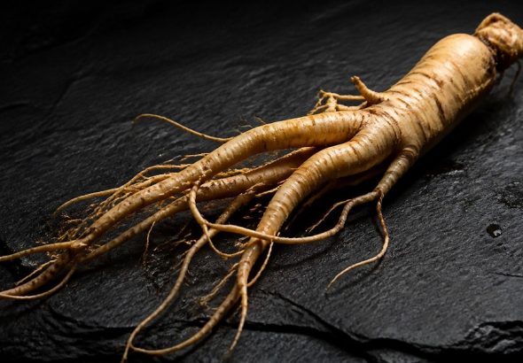 ginseng boosts energy and stamina