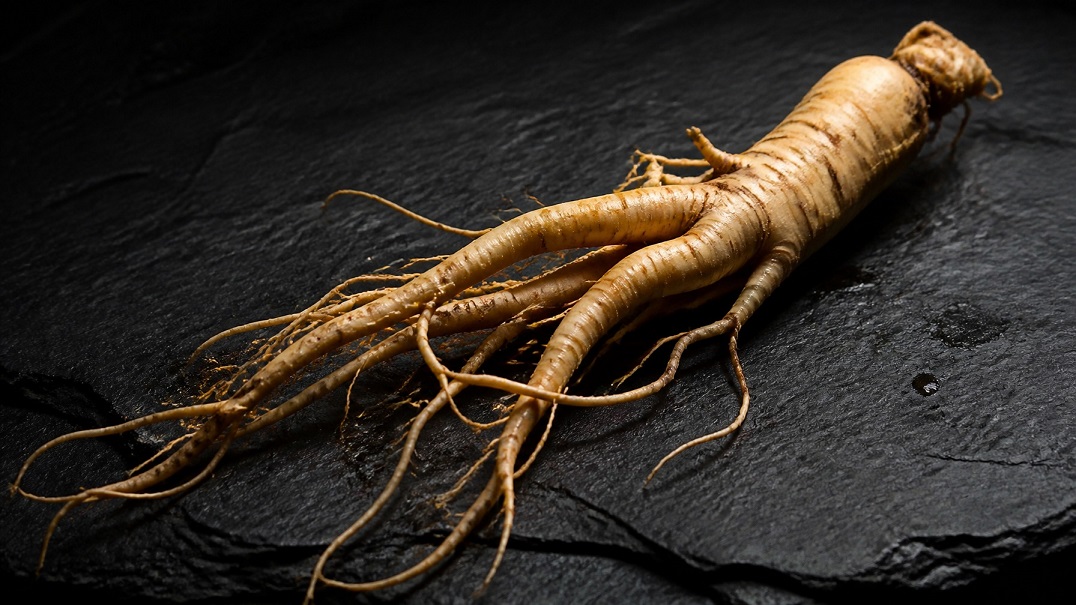 ginseng boosts energy and stamina