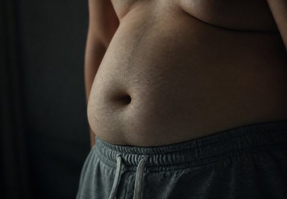 obesity and body fat affect hgh levels