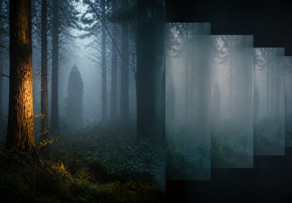 rumors and cryptid legends spread