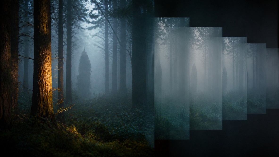 rumors and cryptid legends spread